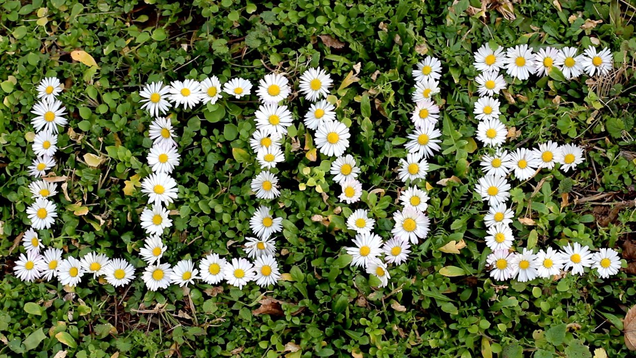 Love 2 - Free HD stock footage