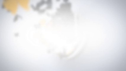 Butterflies Logo Reveal - After Effects Template