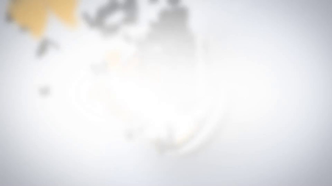 Butterflies Logo Reveal - After Effects Template