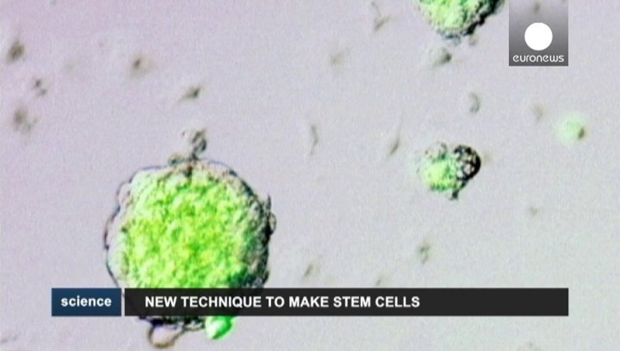 Organ regeneration moves closer with stem cell breakthrough