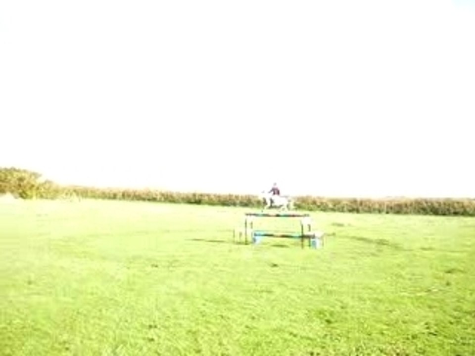 Harmonie 3 obstacles tip top