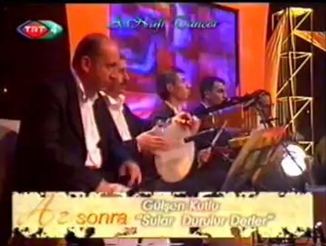 Emel TAŞÇIOĞLU-Gesi Bağlarında Dolanıyorum