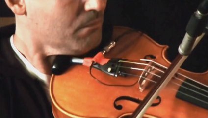 Αράχνη Σωκράτης Μάλαμας