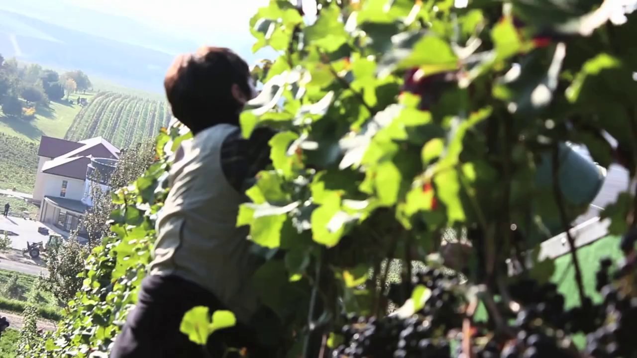 Gärung Teaser 7 (Jetzt auf DVD)