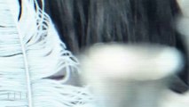 50 Nuances De Grey : Anastasia Steele selon Dakota Johnson