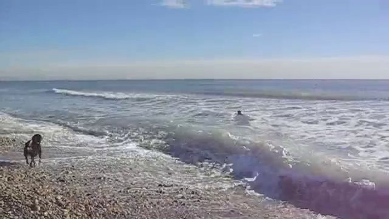 Houba et les vagues