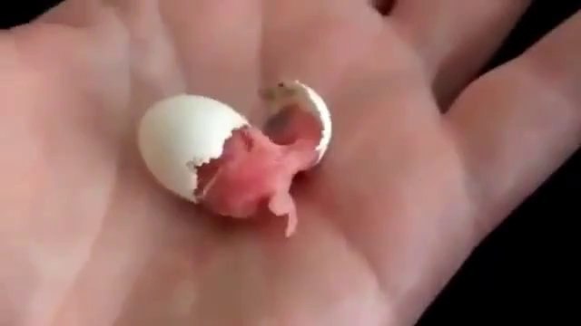 [원조카지노]GOLD4.CO.NR[정통카지노]