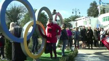 Russia's Lavrov joins in Sochi torch relay