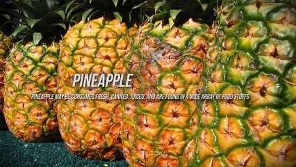 Slideshow - After Effects Template