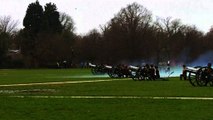 41 gun salute marks Queen's accession to the throne