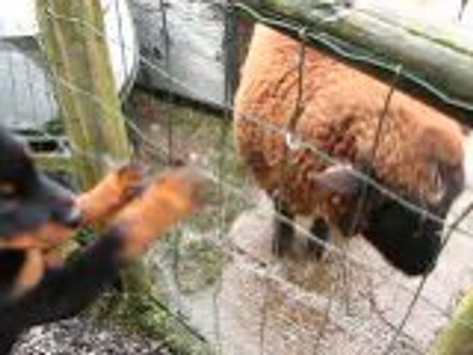 petits bisous a Rosalie