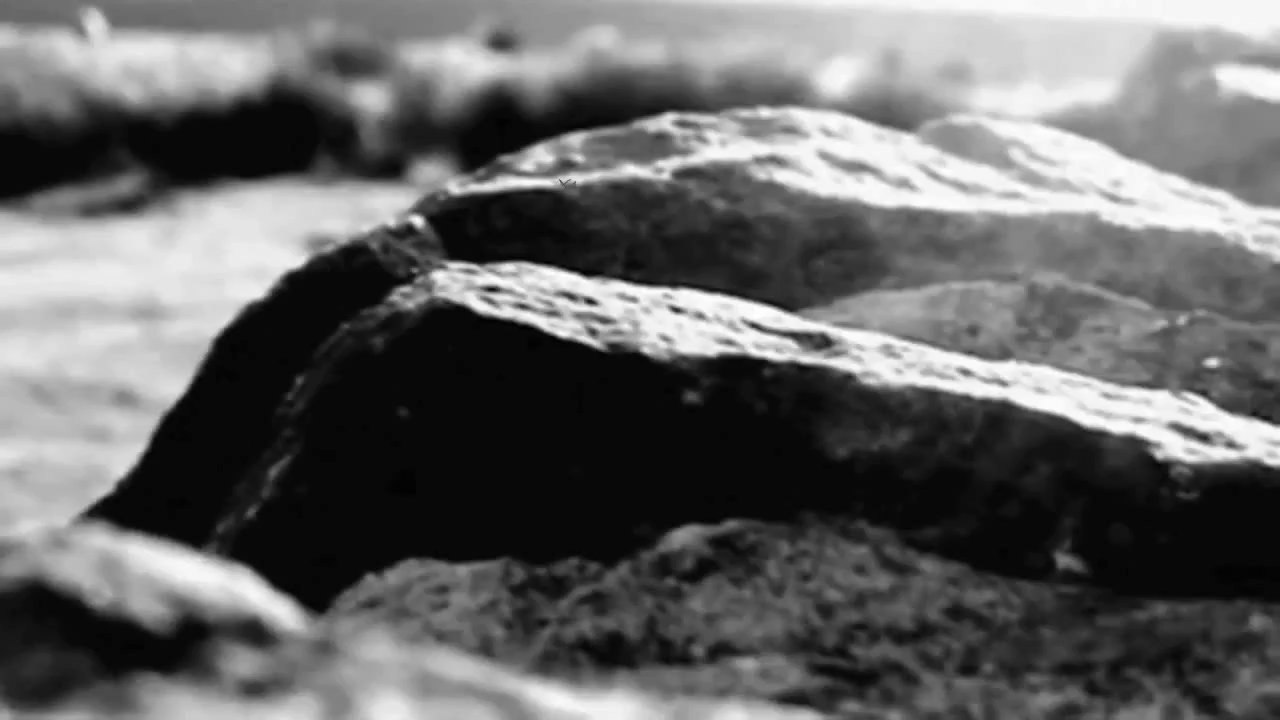 A Trip - Yorkshire Moors /Full Film/Complete Movie/Ganzer Film