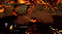 Let's Play Dark Souls [BLIND] (German) Part 151 - Tausendfüße bringen nichts