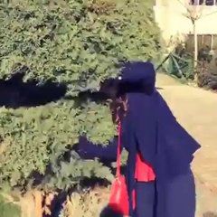 Zeynep Çamcı Yiyen Ağaç :)
