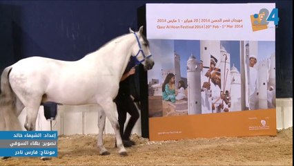 خيول كافاليا قصر الحصن  تستعد لعرض تاريخي