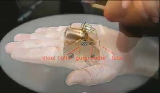 World's Smallest Cannon Gun