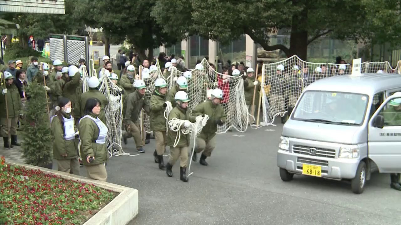 Ausgebrochener plüsch-gorilla: zoo in tokio probt ernstfall