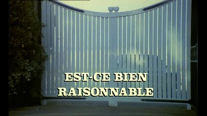 Est-ce Bien Raisonnable ! - Georges Lautner