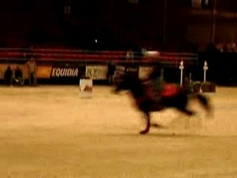 Barrel racing salon du cheval 2006