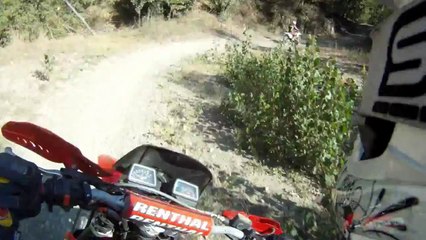 Aprilia RX 50 -  Competition