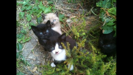 Film Facebook de Maya : Une performance supérieure à celle de son maître 🎬