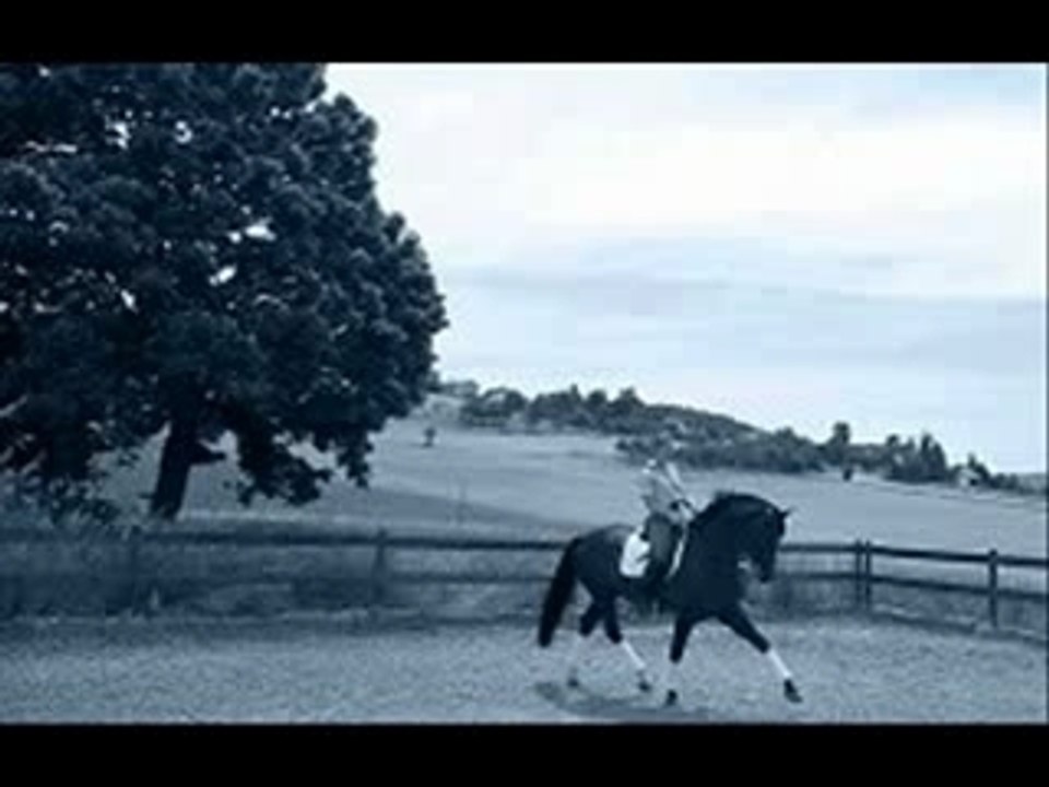 Le Cadre Noir de Saumur