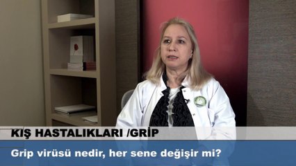 Grip virüsü nedir her sene değişir mi?