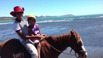 New Zealand Horse Trekking and Horseback Riding Adventures on the the Kawhia Ocean Beach