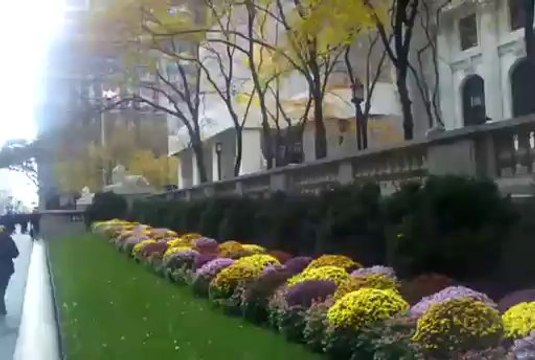 Sample Video taken with the Motorola Droid Pro