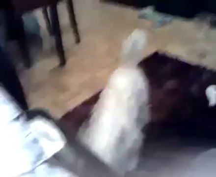 Sample Video Taken on the Motorola Charm