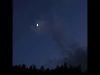 スティング_Russians_月明り