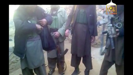 طالبان تؤكد اسر كلب للقوات الاميركية