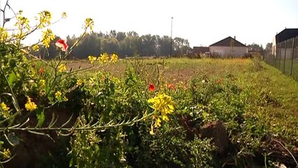 Primo-accédants - ils ont choisi Babeau-Seguin