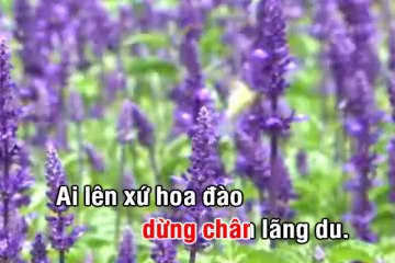Ai lên xứ hoa đào - Tuấn Vũ