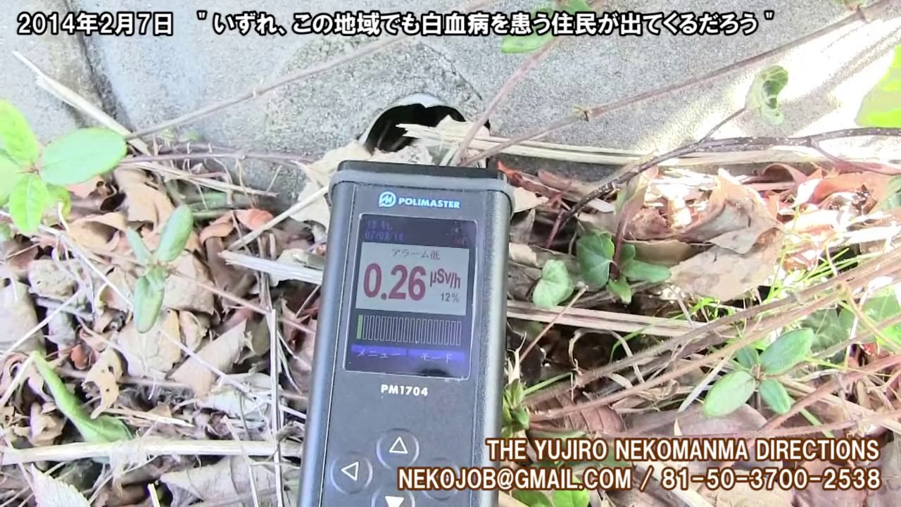 あなたも白血病になるかもしれない