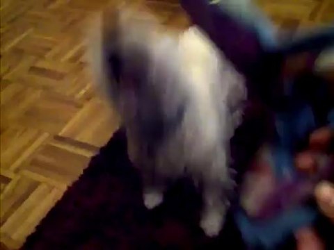 Sample Video Taken with BlackBerry Torch 9800