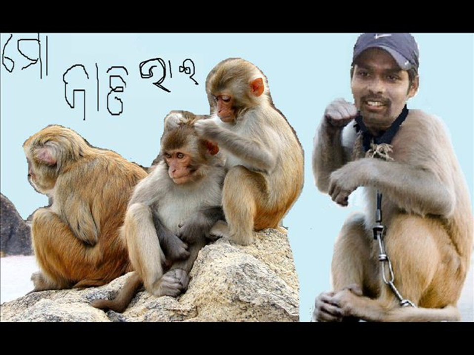 natraj behera orissa cricket team