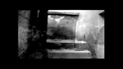 A Trip - Dänemark  /Full Film/Complete Movie/Ganzer Film