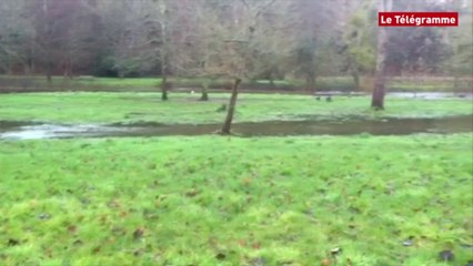 Guingamp. Le Trieux a débordé mais peu de maisons inondées