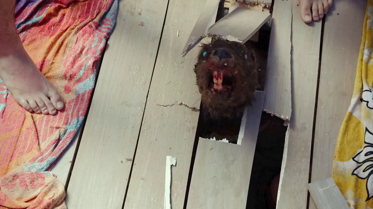 Tráiler de 'Zombeavers', el ataque de los castores zombies