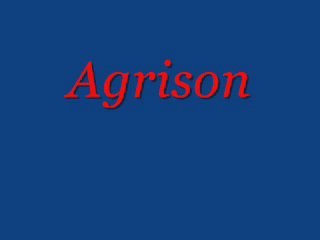 Agrison on steves-digicams