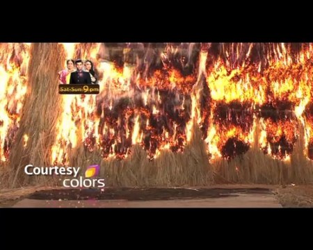 Amazing acts in Indias Got Talent