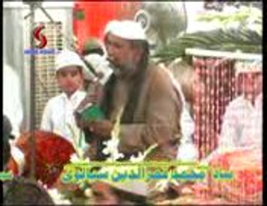 sial shareef
