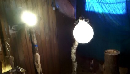 lampe moderne art creation