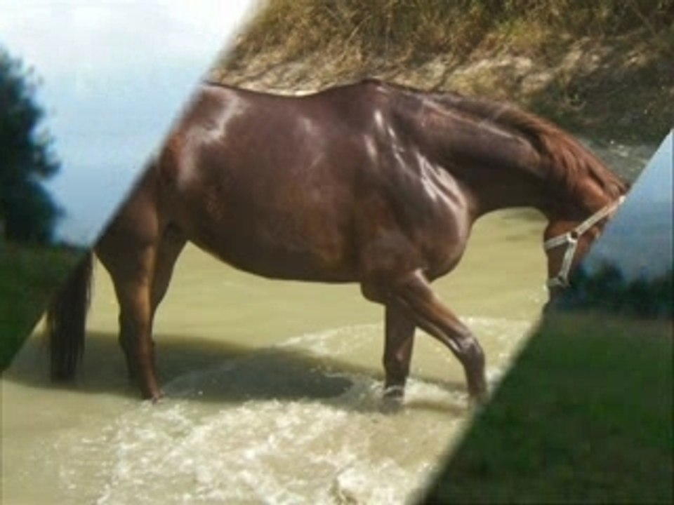 Incentation de Fay 2