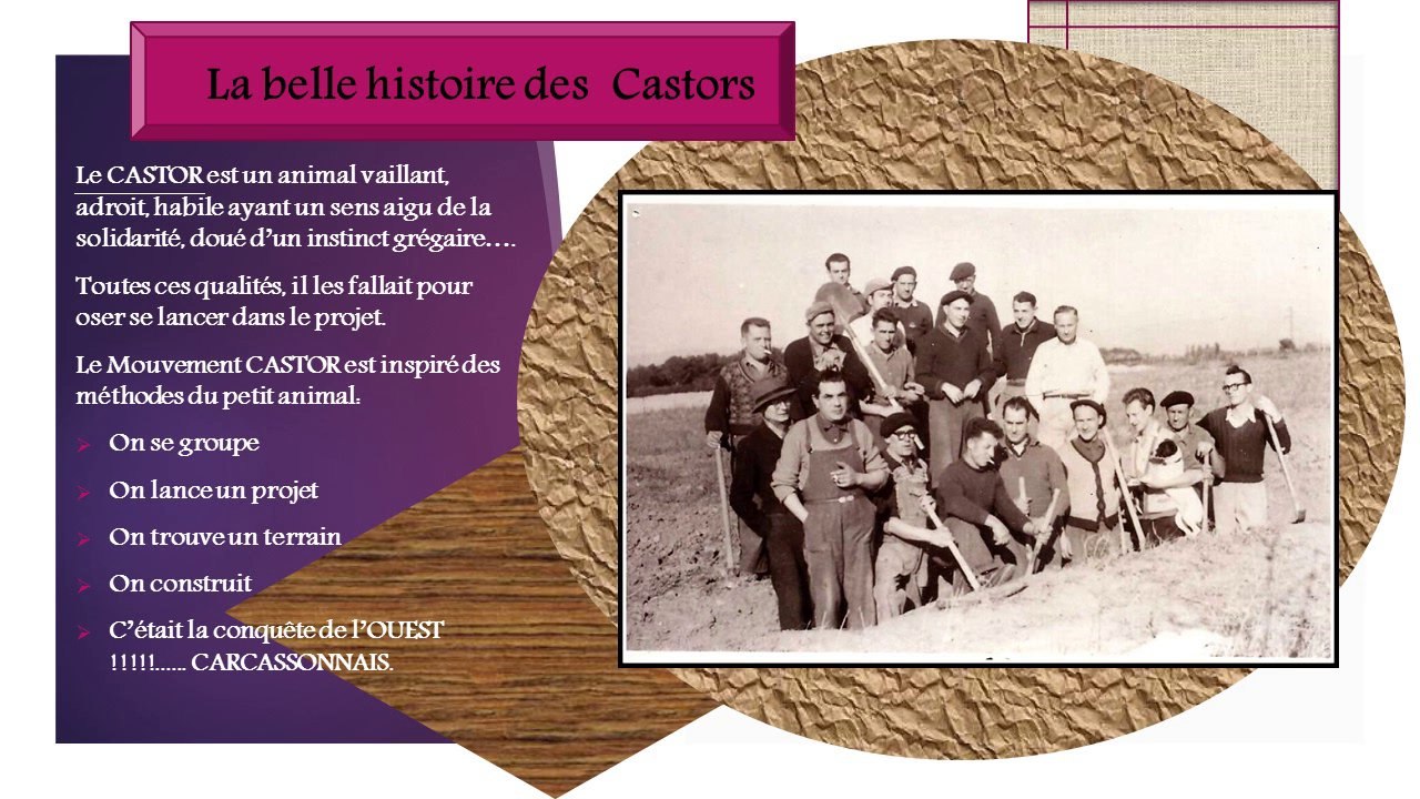 Nos chers CASTORS