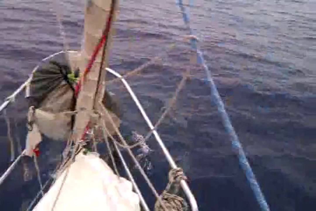 VIDEO0019