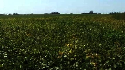 Argentina slams farmers for hoarding crops