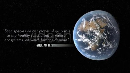 Our Pale Blue Dot - After Effects Template