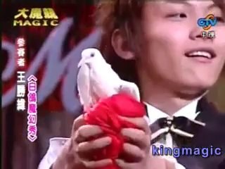 Ultimate Dove Loop Holder - china magic kingmagic.